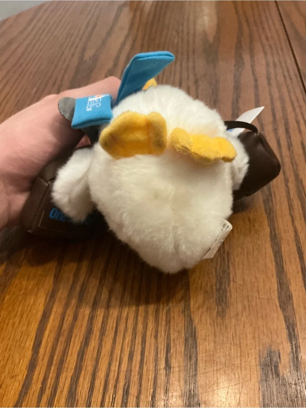 6-inch Aflac 